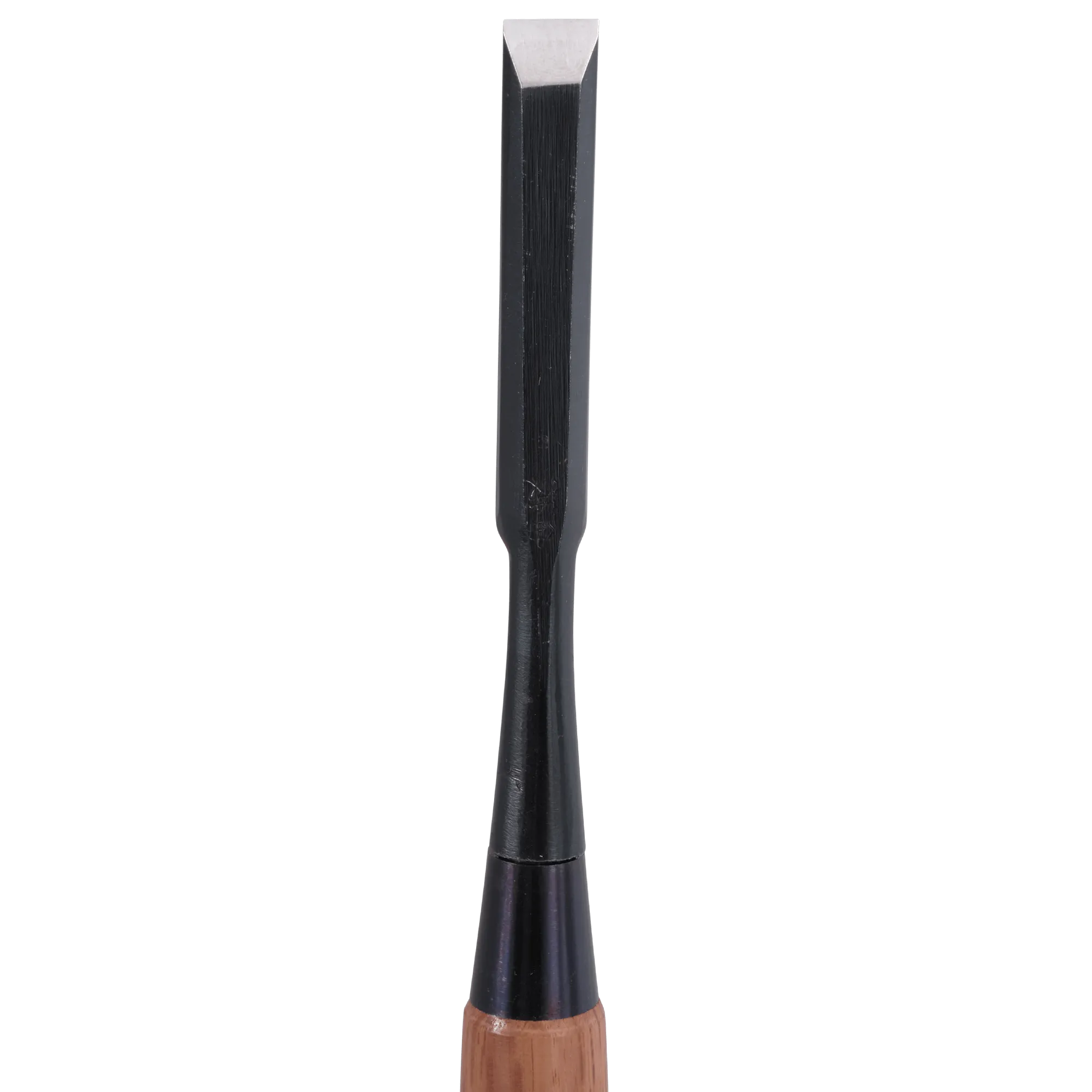 Kamiwaza Bench Chisels