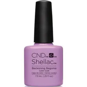 Shellac Beckoning Begonia